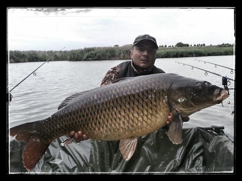 OMG - 1376113578100425571096918286807n2.jpg